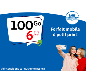 Auchan Telecom forfait 100Go
