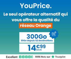 Youprice le Voyage 300Go