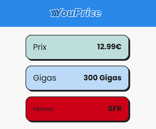 Youprice SFR forfait 300Go