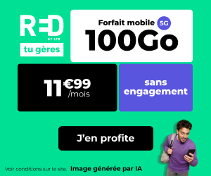 Red forfait 100Go