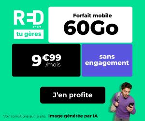 Red forfait 60Go