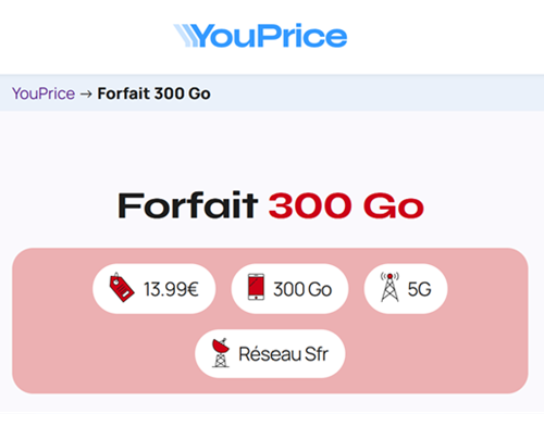 Youprice SFR 300Go 14€