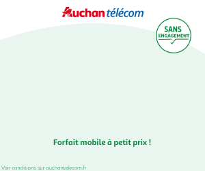 Auchan Telecom 130Go