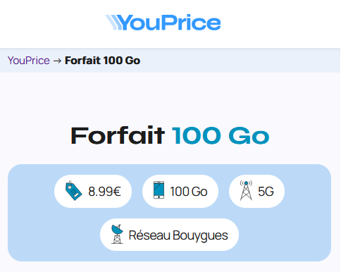 Youprice Bouygues 100Go
