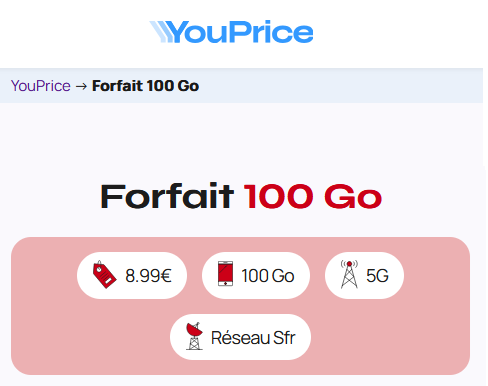 Youprice SFR 100Go